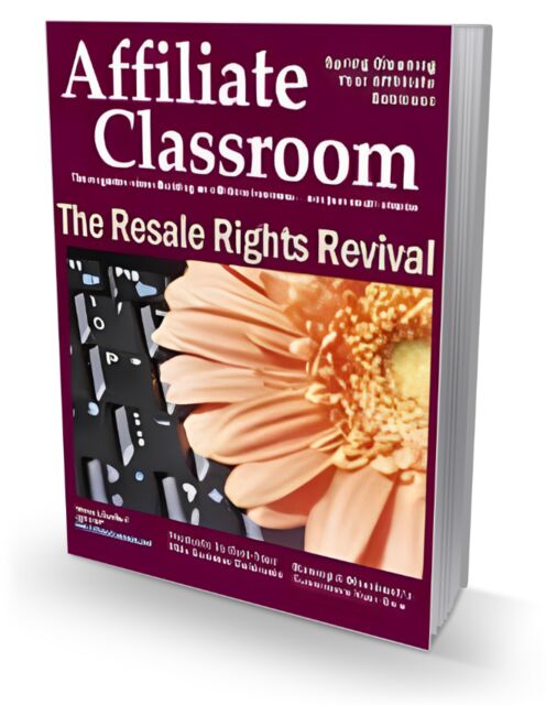 eCover representing The Resale Rights Revival eBooks & Reports with Master Resell Rights