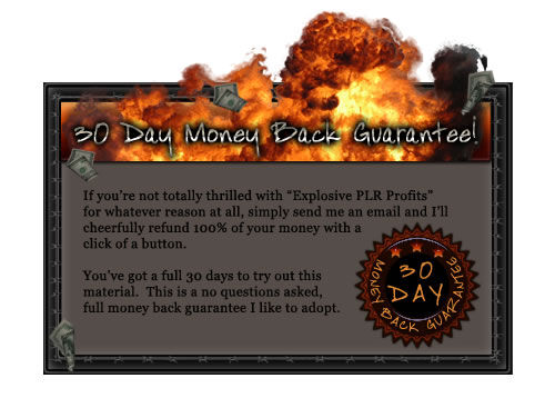 eCover representing Explosive PLR Profits eBooks & Reports with Master Resell Rights