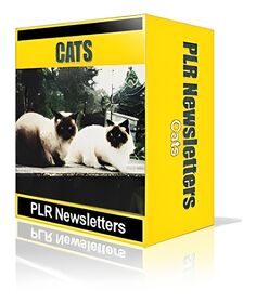 Cats Niche Newsletters Cats Niche Newsletters small