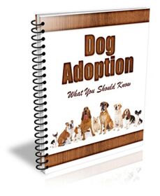 New Dog Adoptation PLR Newsletter New Dog Adoptation PLR Newsletter small