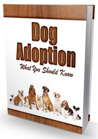 Dog Adoption Newsletter Dog Adoption Newsletter small