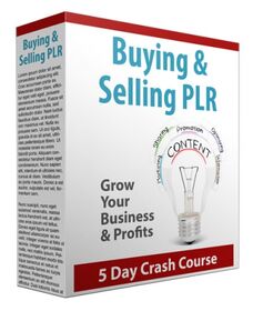 Buying and Selling PLR Newsletters Buying and Selling PLR Newsletters small