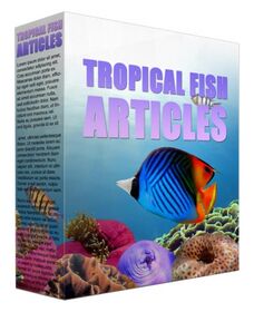 Tropical Fish PLR Content Tropical Fish PLR Content small