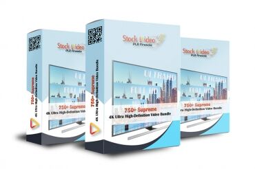 Dog 4K Stock Videos Dog 4K Stock Videos small
