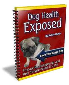 Dog Health Exposed Dog Health Exposed small