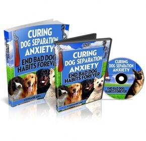 Curing Dog Separation Blog Curing Dog Separation Blog small