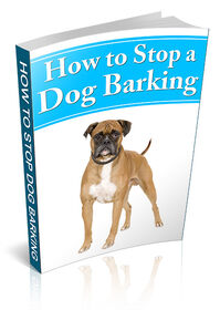 How To Stop A Dog Barking small