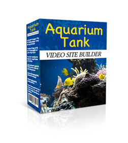 Aquarium Tank Video Site Builder Aquarium Tank Video Site Builder small