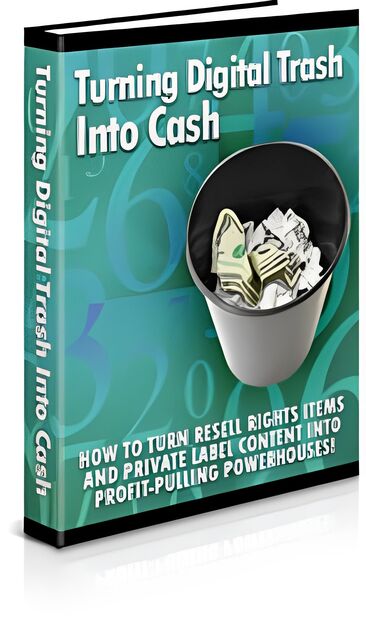 eCover representing Turning Digital Trash Into Cash eBooks & Reports with Private Label Rights