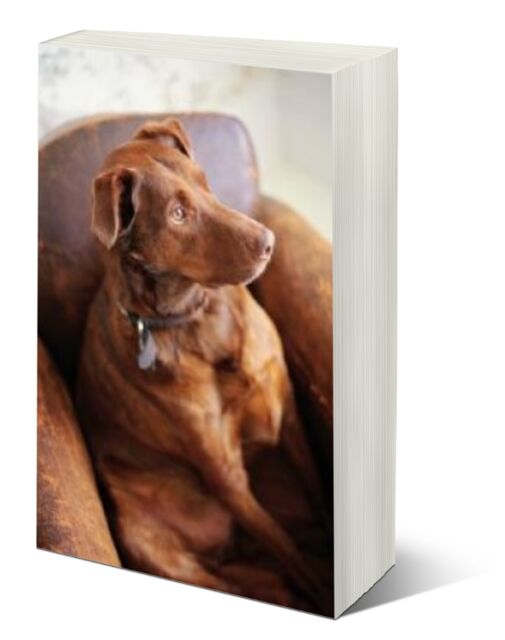 eCover representing Perfect Handbook for Imperfect Dog Owners eBooks & Reports with Master Resell Rights