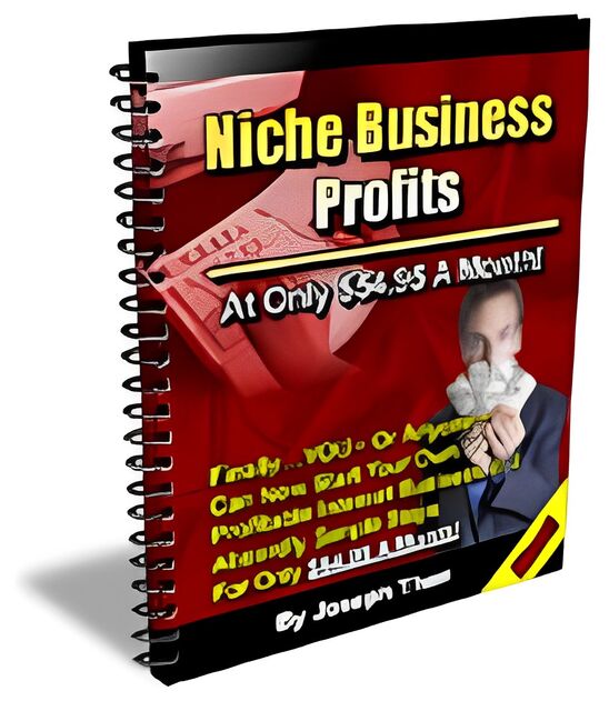 eCover representing Niche Business Profits eBooks & Reports with Resell Rights