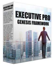 Executive Pro Genesis FrameWork Executive Pro Genesis FrameWork small