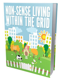 Non Sense Living Within The Grid Non Sense Living Within The Grid small