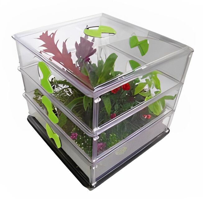 eCover representing 51 Tips for Greenhouse Gardening eBooks & Reports with Master Resell Rights