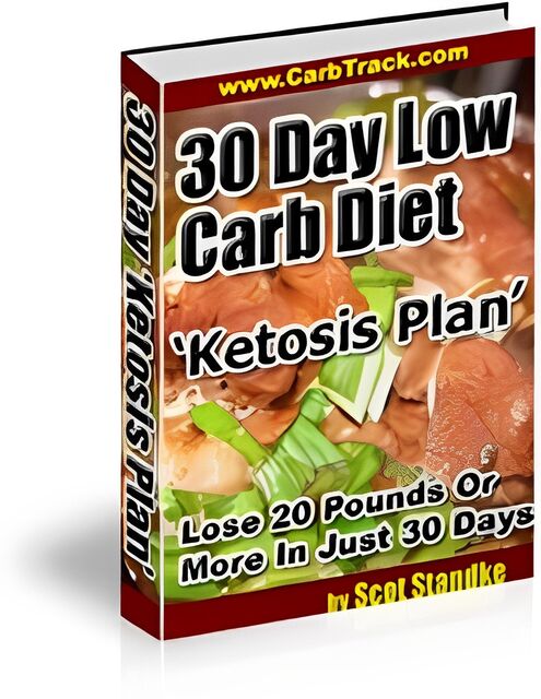 eCover representing 30 Day Low Carb Diet 'Ketosis Plan eBooks & Reports with Master Resell Rights