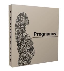 Pregnancy Niche Website Bundle Pregnancy Niche Website Bundle small