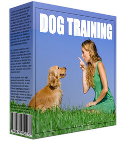 New Dog Training Information Software New Dog Training Information Software small