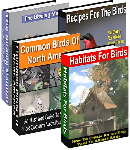 eCover representing Birding For Everyone eBooks & Reports with Master Resell Rights